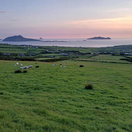 Gleann Loic Farmhouse دينغل المظهر الخارجي الصورة