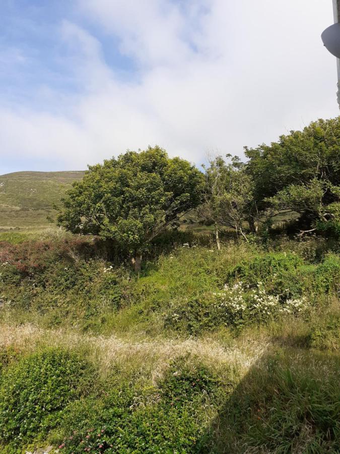 Gleann Loic Farmhouse دينغل المظهر الخارجي الصورة