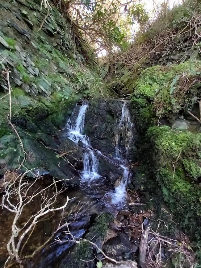 Gleann Loic Farmhouse دينغل المظهر الخارجي الصورة