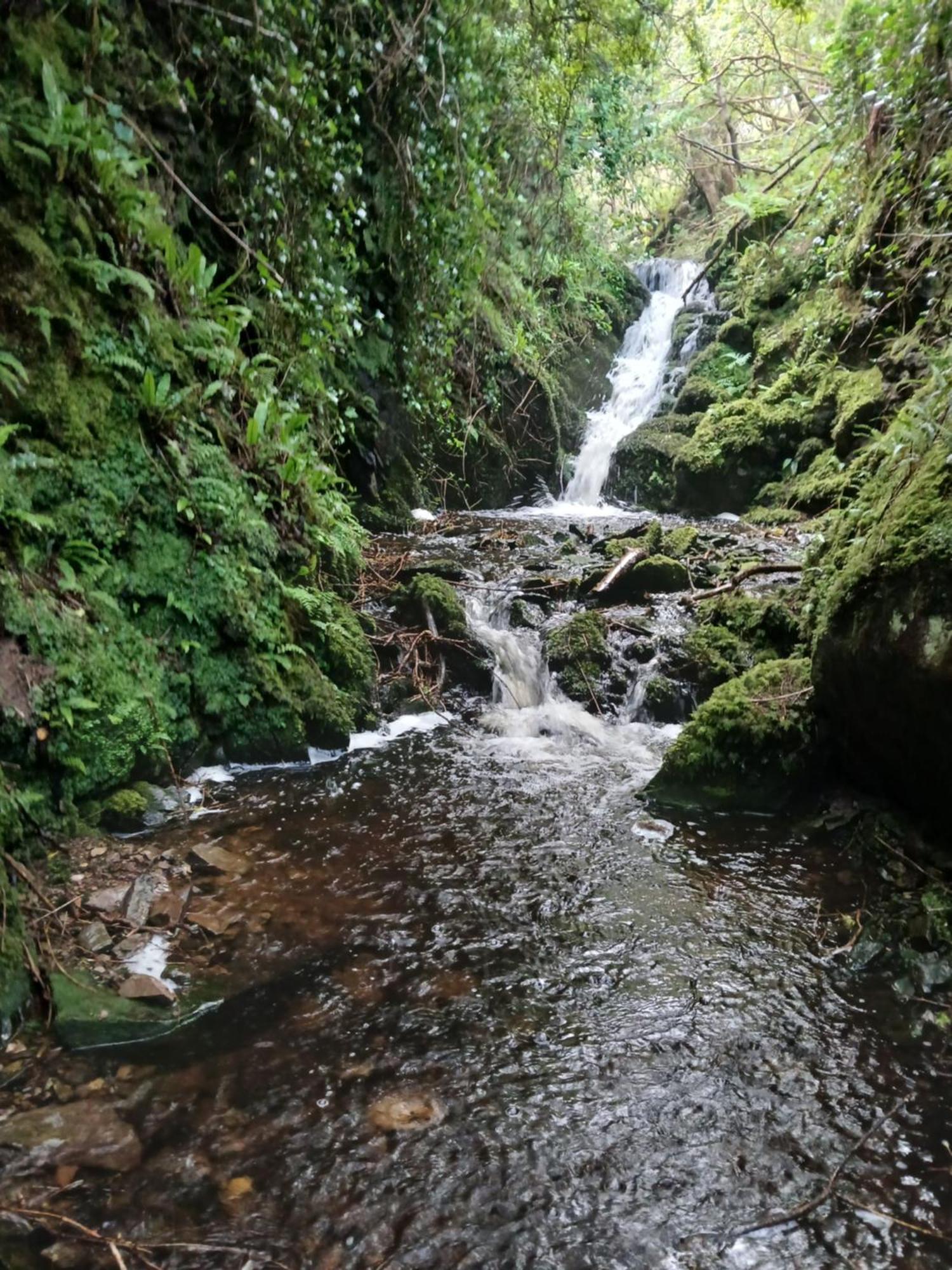 Gleann Loic Farmhouse دينغل المظهر الخارجي الصورة