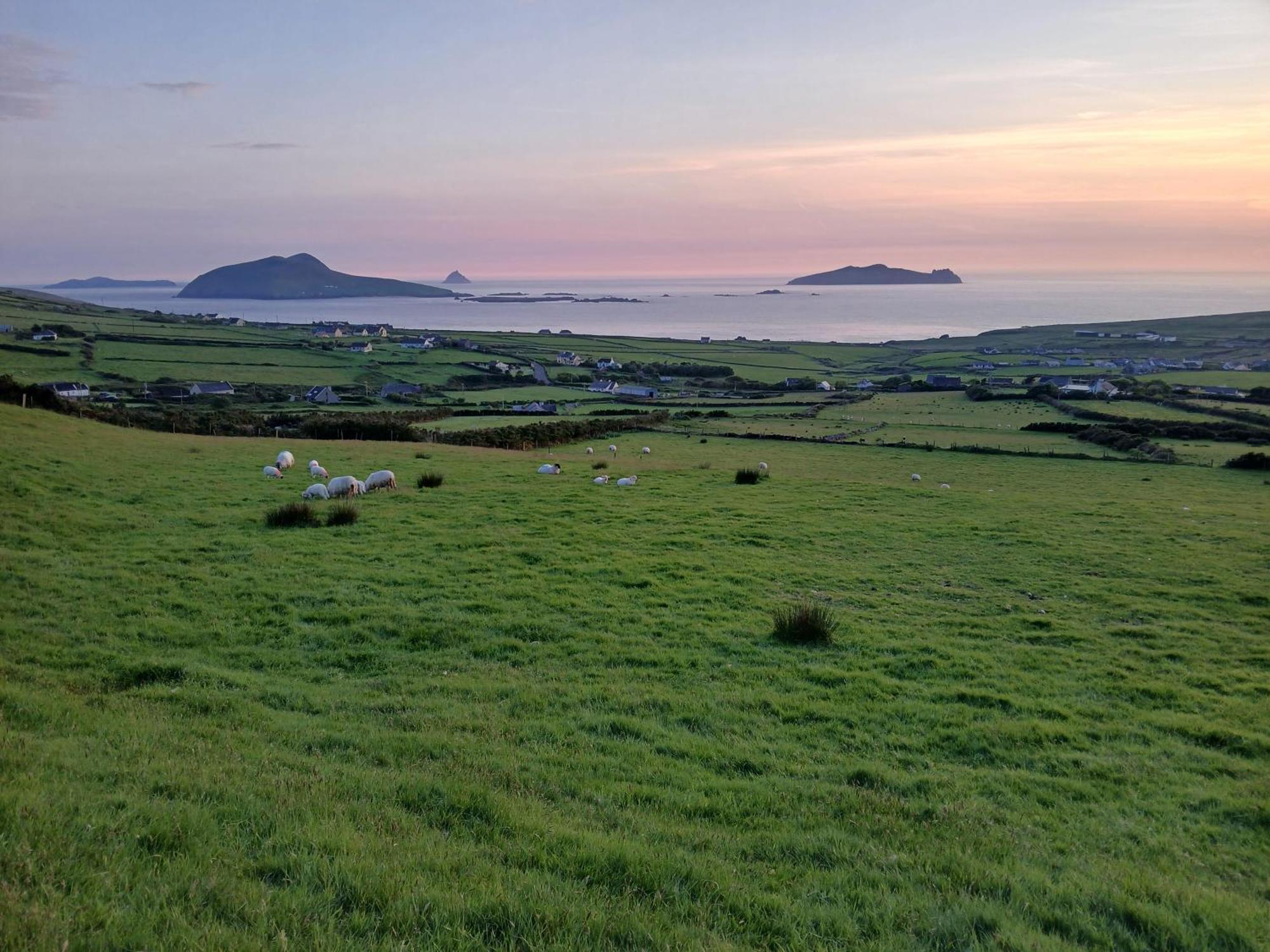 Gleann Loic Farmhouse دينغل المظهر الخارجي الصورة